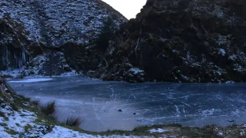 Ross Moore Rosebush, Pembrokeshire