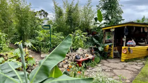 Helen Mulroy/BBC Fauna and Flora garden