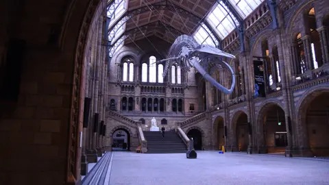 James Maclaine in the central hall at the Natural History Museum