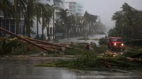 Getty Images A vehicle passes downed palm trees in Miami, Florida. Photo: 10 September 2017