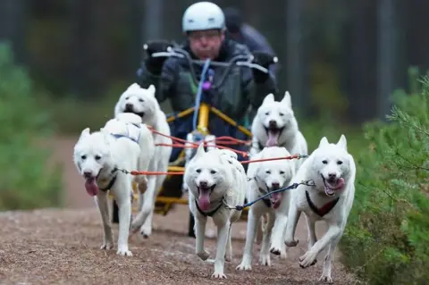 PA Media/Andrew Milligan Sled dog rally