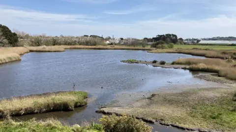 BBC Vale Pond