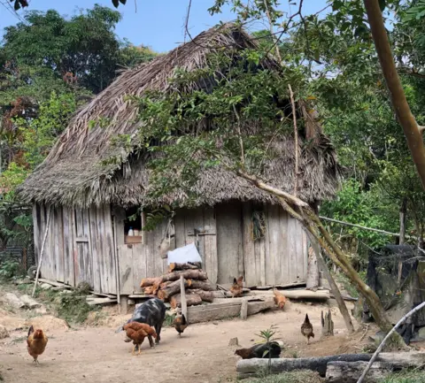 Frank Gardner The home of a hermit, hidden deep in the forest of the Serrania de las Quinchas.