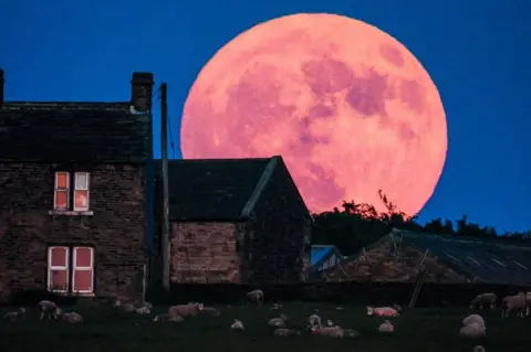 Sue Strawberry Moon seen from Flockton, West Yorkshire