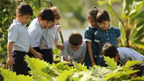 Students at a farm at Marlborough College Malaysia.