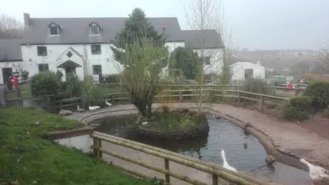 Andy Roberts Greenmeadow Community Farm, Cwmbran