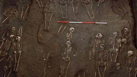 Cambridge Archaeological Unit/St John’s College The remains of numerous individuals unearthed on the former site of the Hospital of St. John the Evangelist, taken during the 2010 excavation.