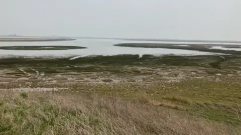 BBC RSPB Wallasea landscape