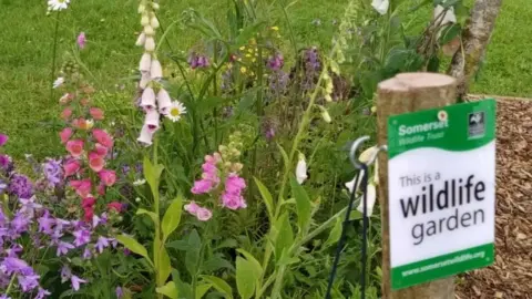 Somerset Wildlife Trust Sign reading "This is a wildlife garden"