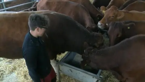 BBC Richard Copley with his cows