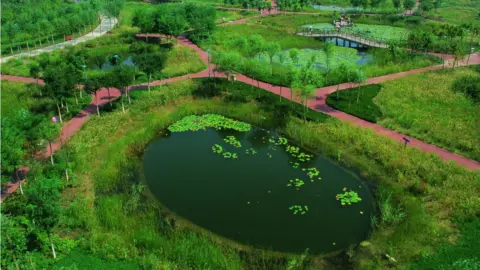 Turenscape Picture of Tianjin Qiaoyuan park with wetlands