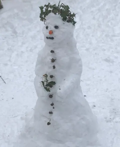 Jennifer Armitage Jennifer Armitage says they are calling this Princess Ivy. It was built by the Armitage/Walkers