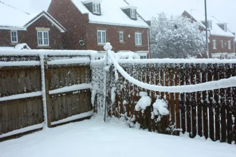 SoySauceSan Snow on washing line