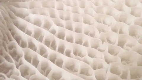 Alamy Close up texture of tripe