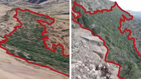 Vegetation seen in the footage was matched against the 3D satellite model