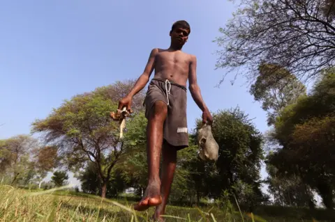 BBC Chotu carries animal bones