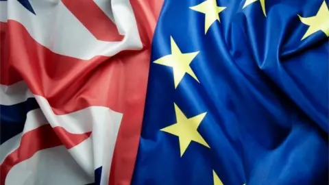 Getty Images UK and EU flags