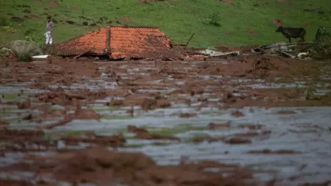 AFP A lone man and a cow are seen by a submerged house after a dam collapse in Minas Gerais, Brazil. Photo: January 2019