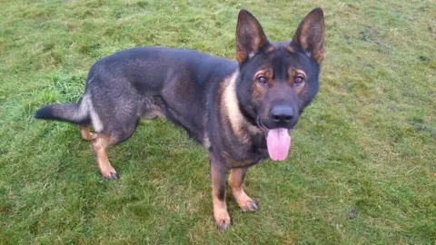 Derbyshire Police PD Axle