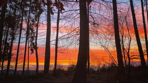 Weather Watchers/Mrs Baggins Bromyard