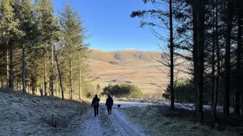 BBC Broughtonknowe Woods