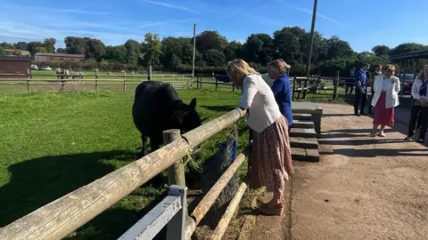 BBC Duchess of Edinburgh reunited with 2 Balmoral ponies