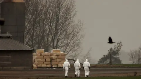 Bruno Vincent/Getty Images People dressed in personal protective equipment at a Bernard Matthews farm