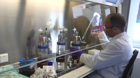 Debbie Dumont S-Biomedic lab at JLABS Beerse in Belgium