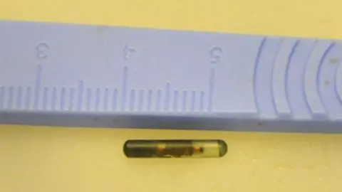 City of London Police Chip