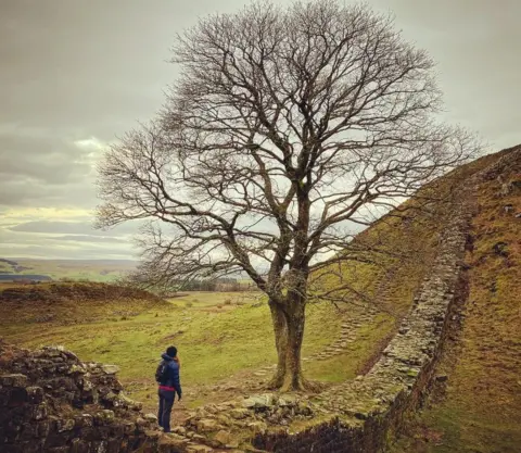 Duncan Leatherdale A woman looks up at a tree