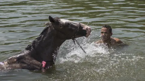 EPA Man and a horse in water - Friday 24 May 2019