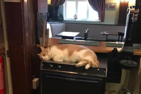 Sharon Martin Wilbur at the Red Lion