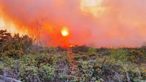 DWFRS Fire at Catford Heath