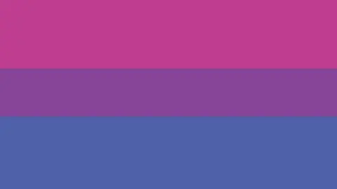 Sudowoodo The flag of bisexuality