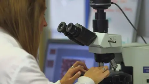 scientist analysing data at Glasgow University