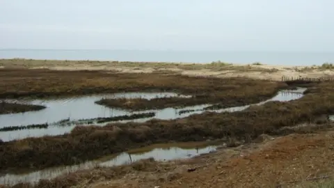 Simon Huguet A general view of Hamford Water