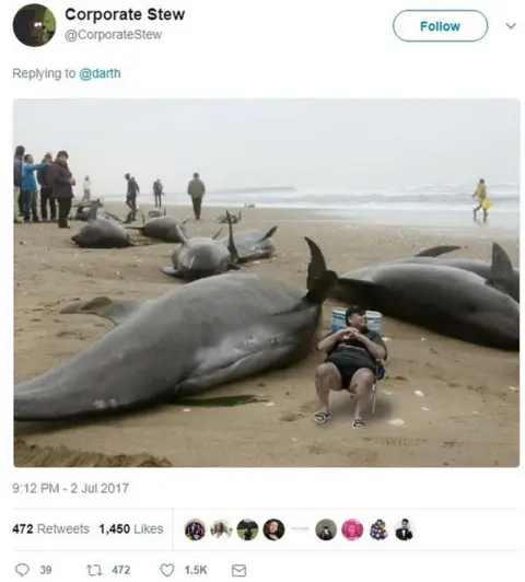 Twitter/CorporateStew A picture of Chris Christie in a deckchair surrounded by beached whales
