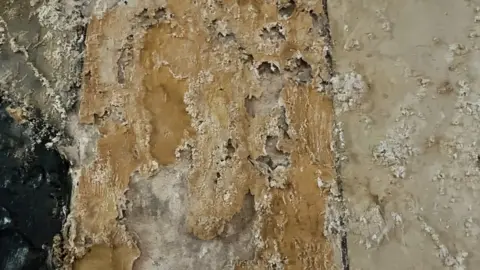 Andrew Turner/BBC Damp walls in St Mary's Church, Great Yarmouth