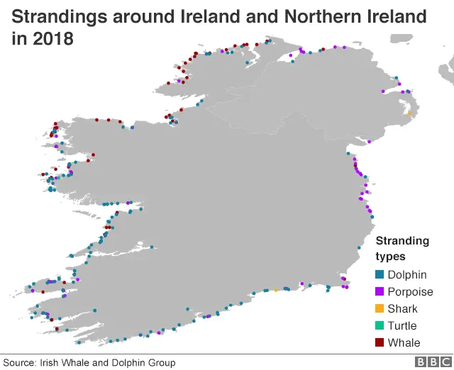 map of irish whale strandings