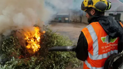 Deadly olive tree disease across Europe 'could cost billions