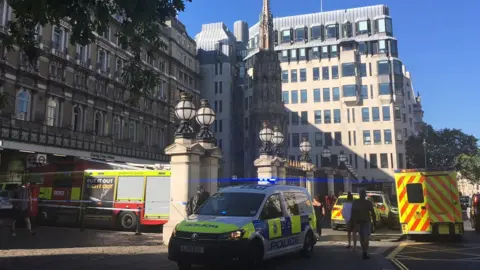 Police around Charing Cross Station