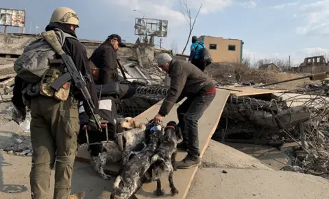 Jeremy Bowen/BBC Saving Slava's dogs