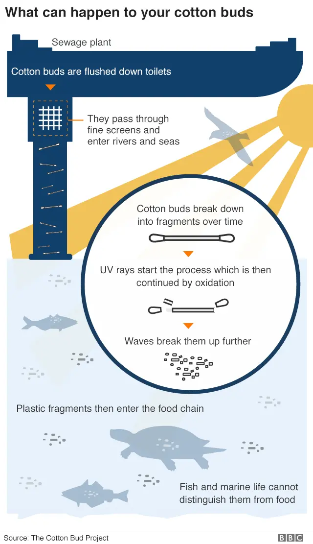 cotton buds diagram