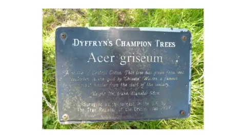 NAtional trust Plaque for the dying tree