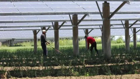 Getty Images solar