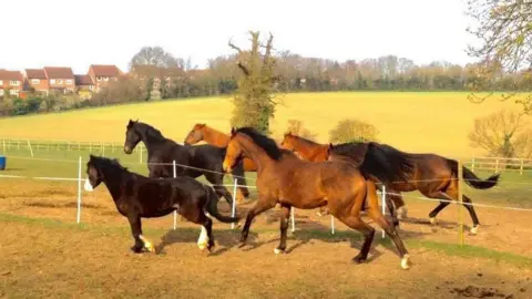 Jann Turner Frenchs Care Haven