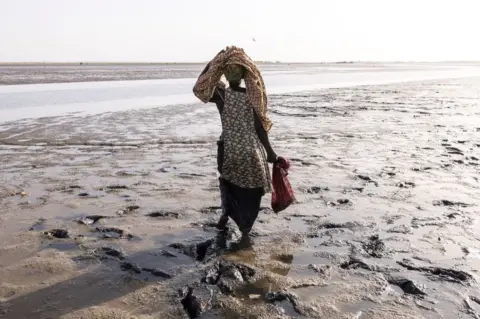 AFP A woman collects cockles along the edge of the Sine Saloum Delta in Simal on January 3, 2023. - The Sine Saloum Delta is a recognised world heritage site, celebrated for its mangroves, bird life and rich culture of fishing, salt mining and agriculture