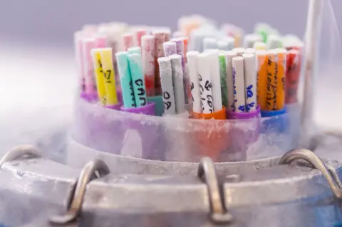 Science Photo Library IVF - tubes of frozen gametes