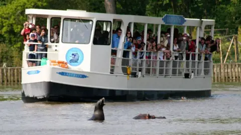 Longleat Boat crossing a lake with a seal and hippo poking their heads above the water