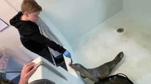 Tynemouth Seal Hospital Oliver feeding a herring to one of the seals